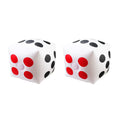 13 Inch Inflatable Dice Set N122
