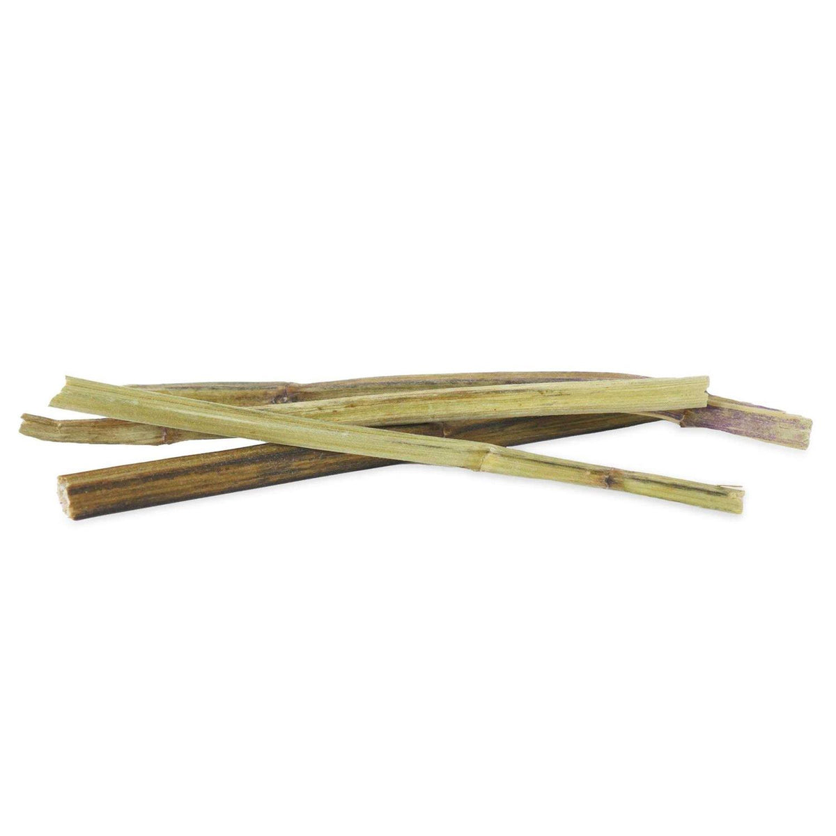 Catnip D13240