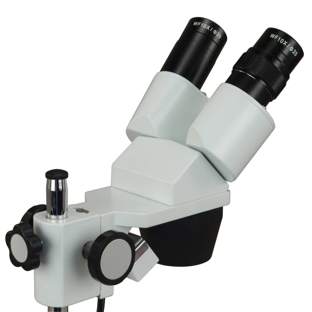 Binocular Stereo Microscope with Dual Lights and 5MP Camera D6400