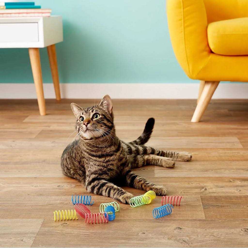 Colorful Springs Cat Toy R78563