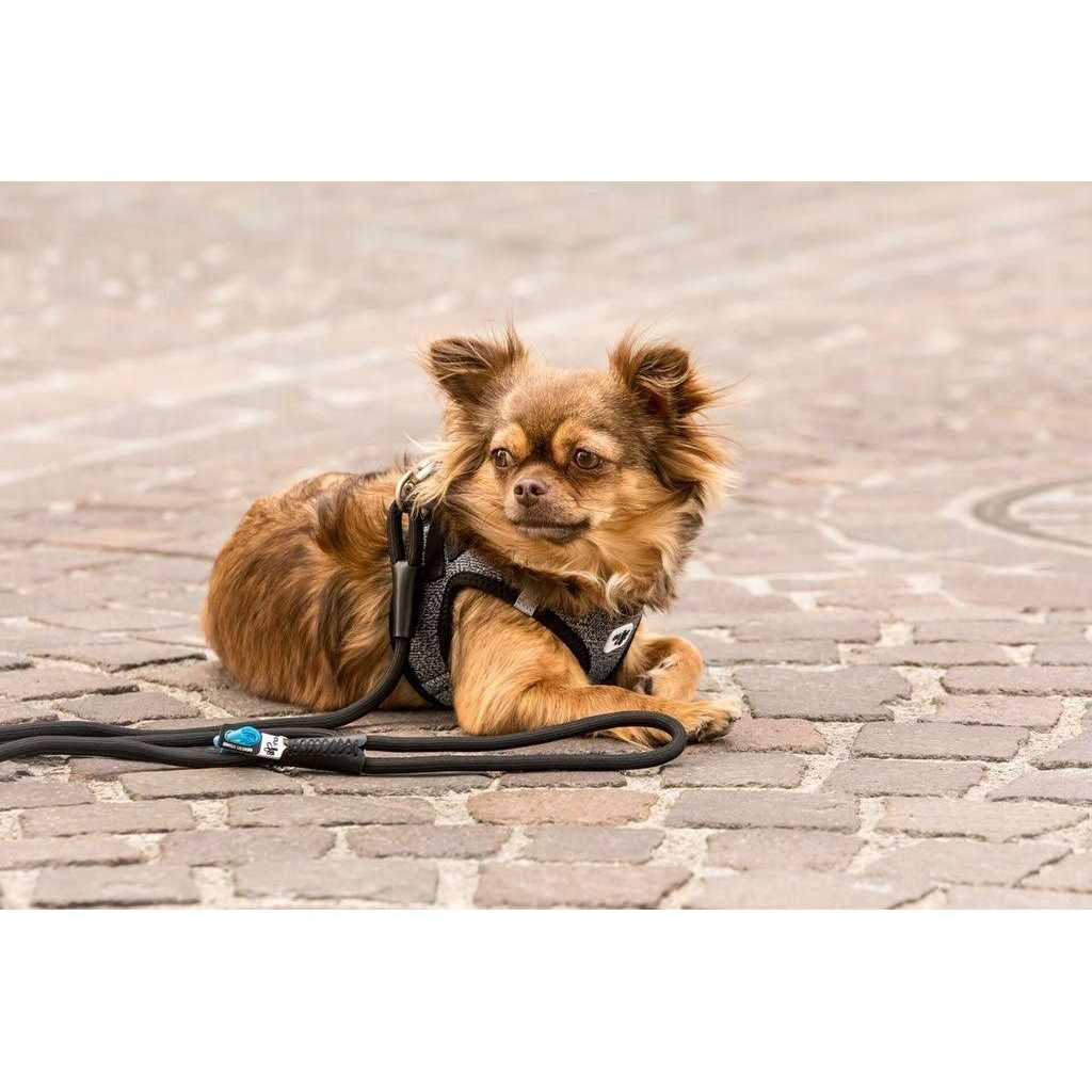 Comfort Leash A25057