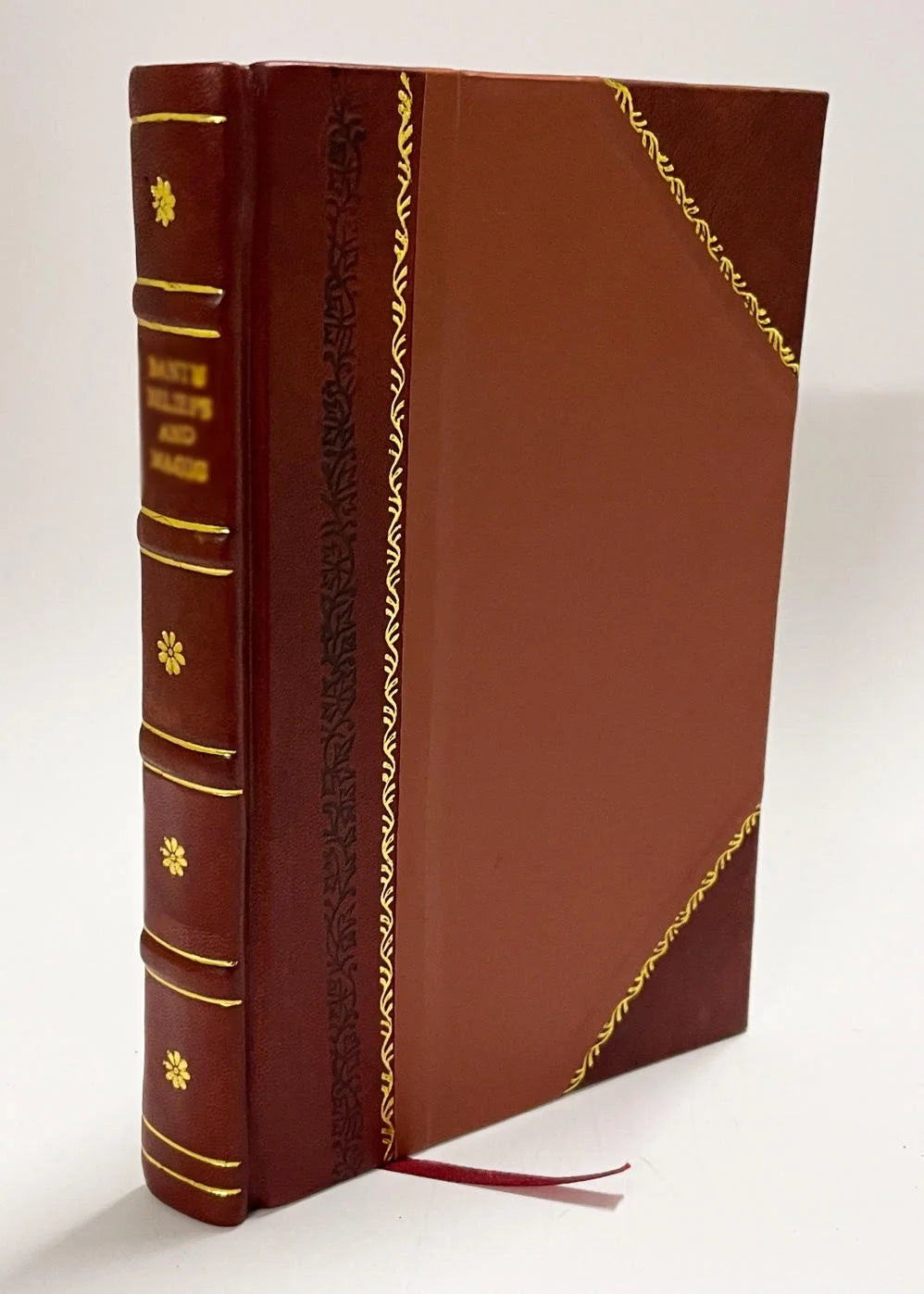 Leather Bound Book N66078