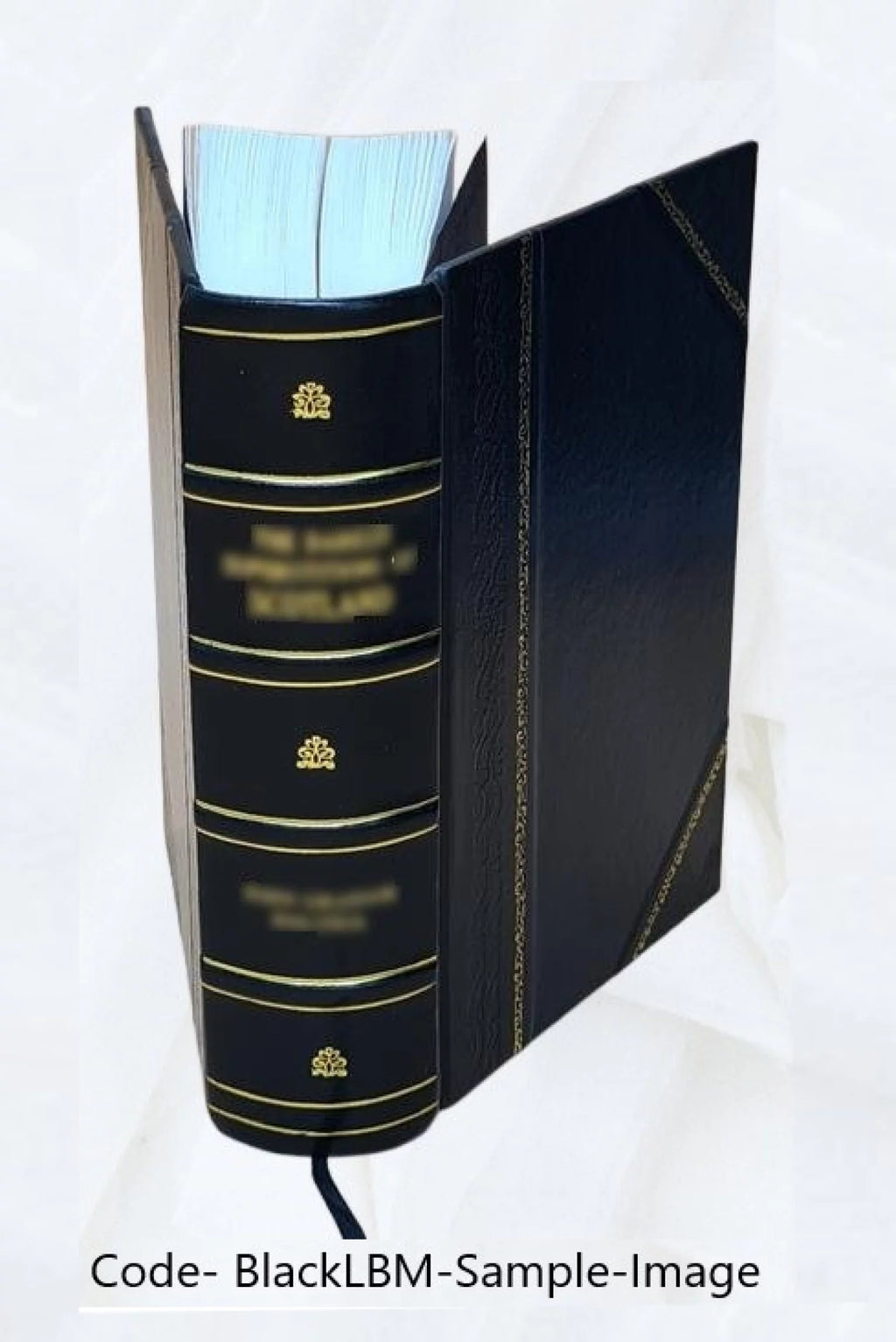 Leather Bound Book G30878