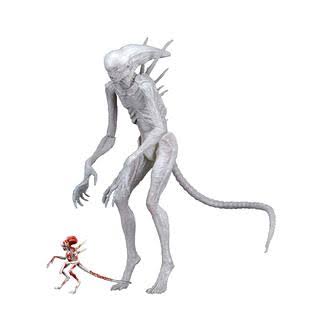 7x22 Scale Action Figure K929683