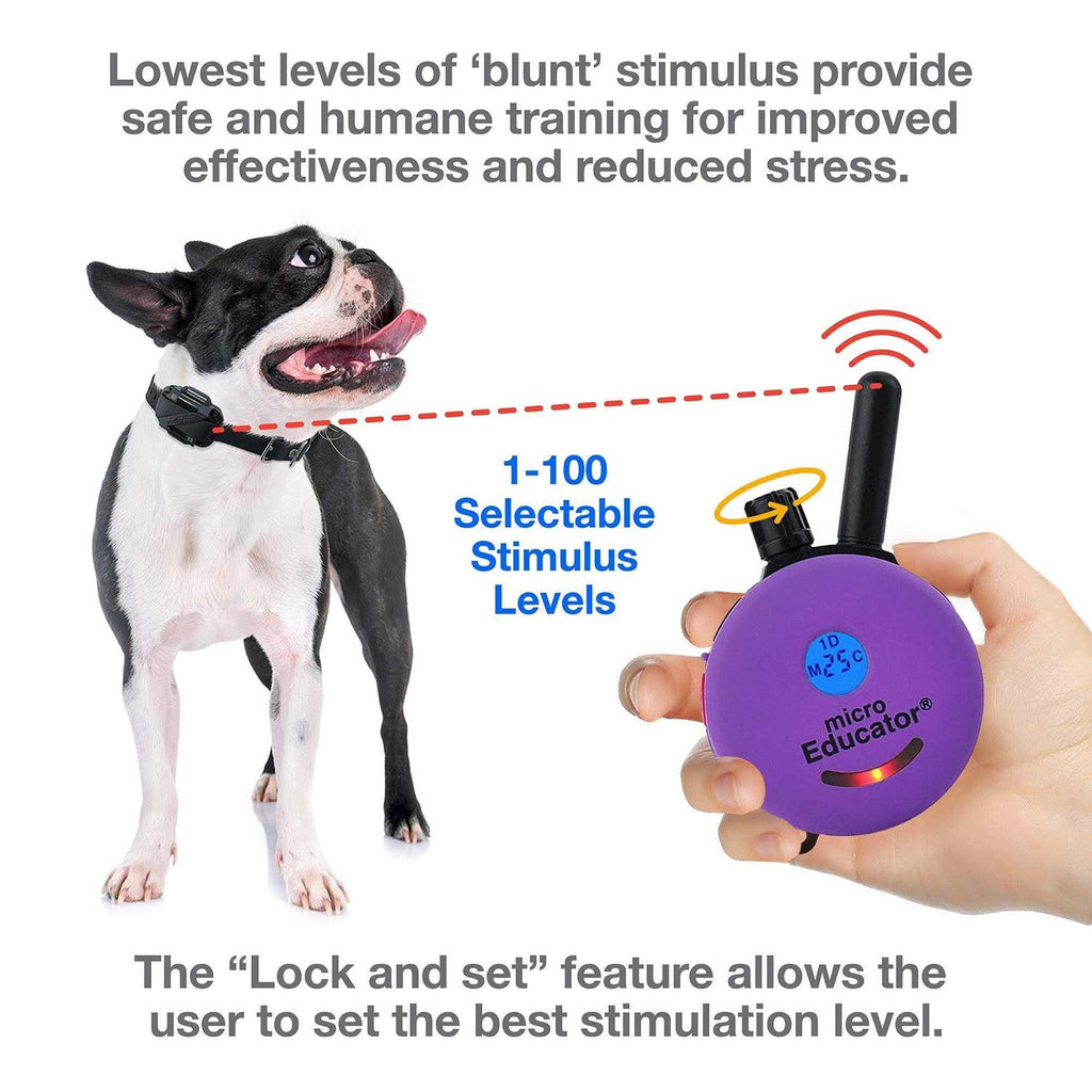 1/3 Mile Remote Dog Training Collar K652