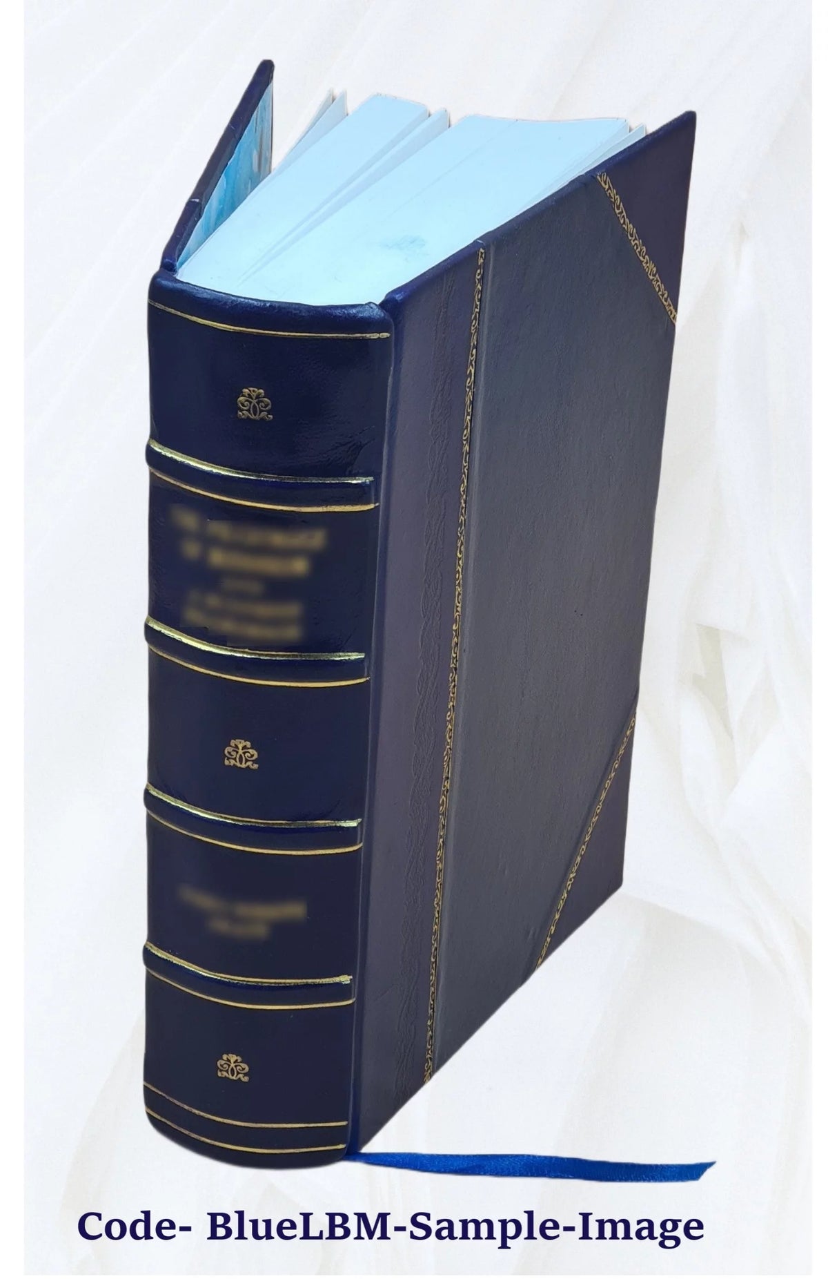Leather Bound Book G30878