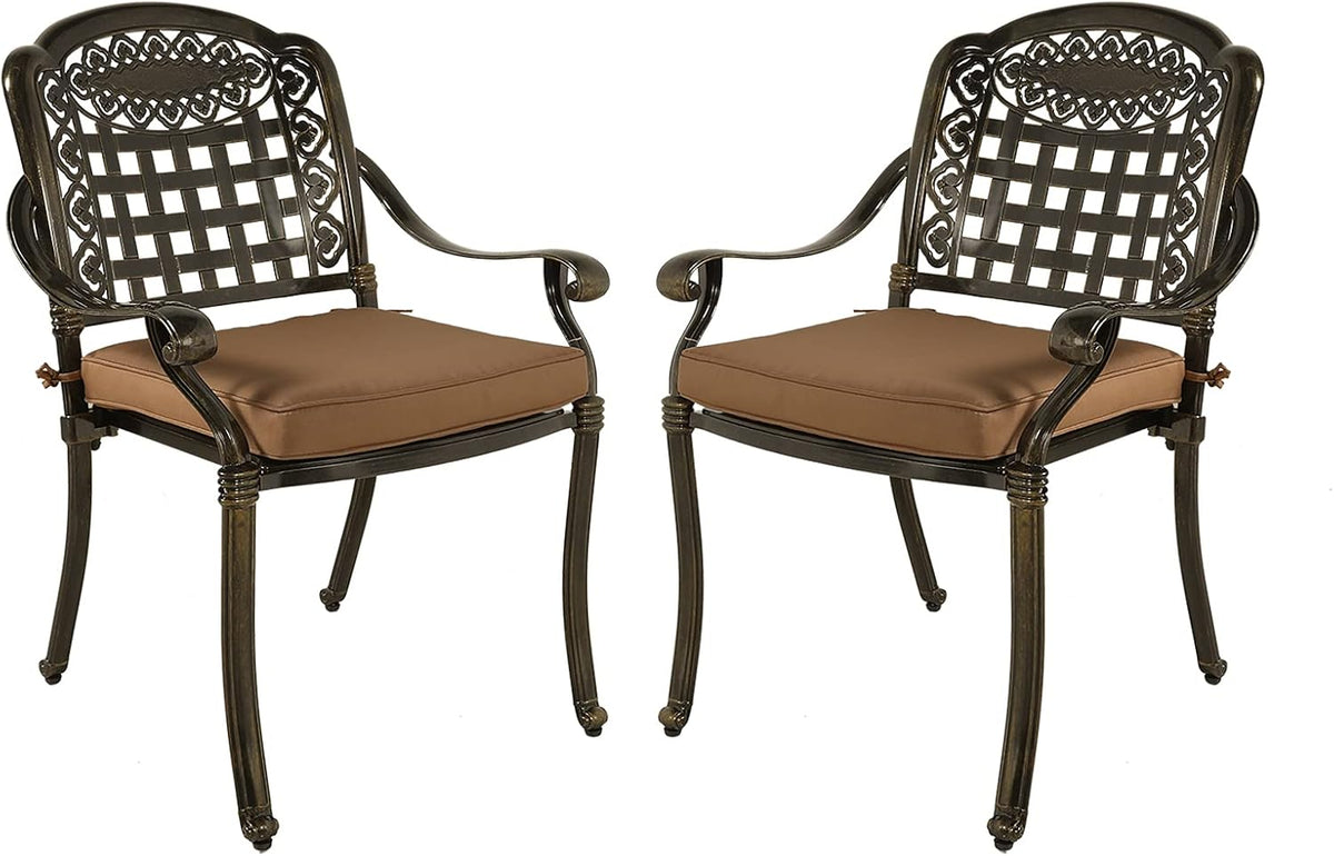 2-Piece Patio Cast Aluminum Dining Chairs B803