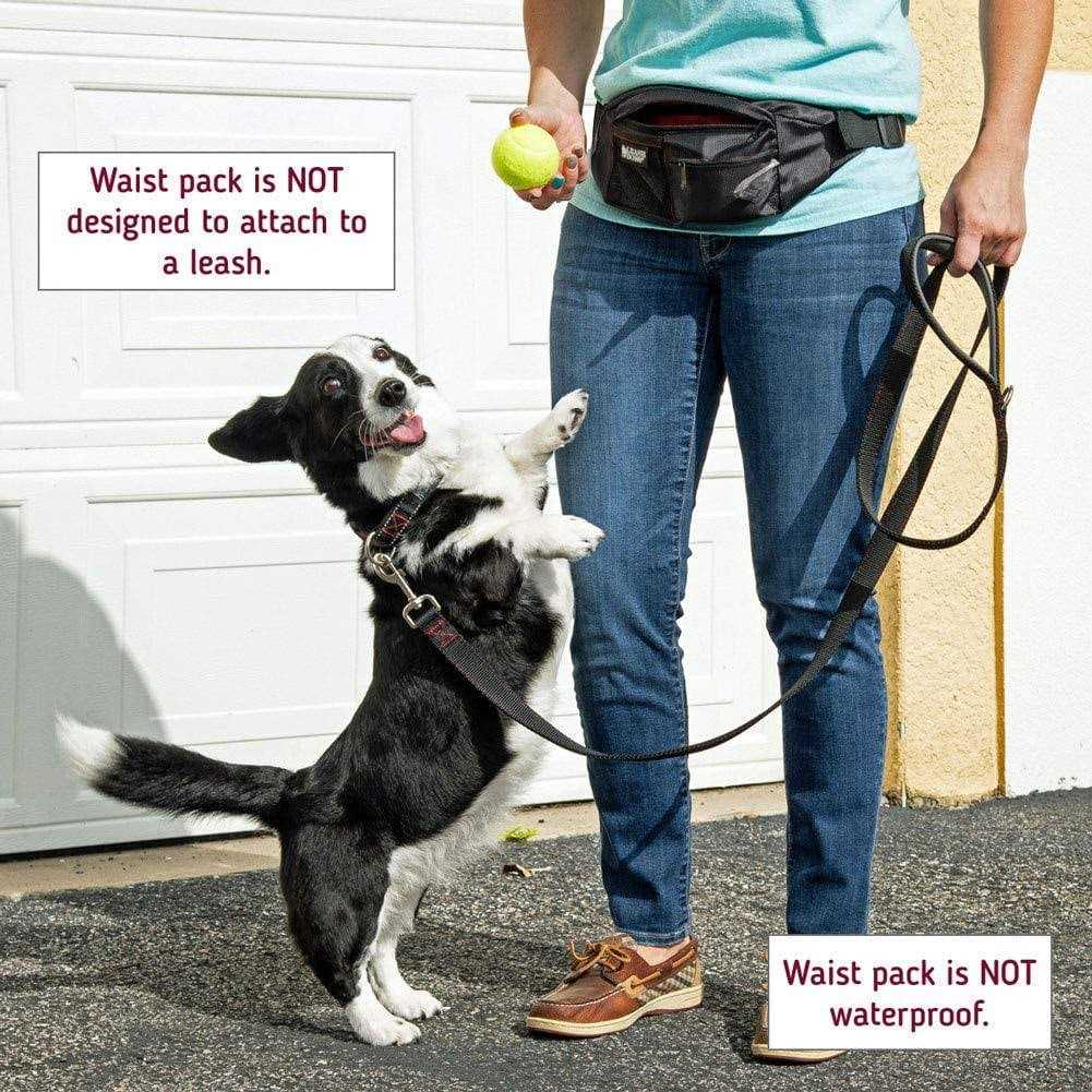 Dog Treat Training Pouch with Waste Bag Dispenser V481