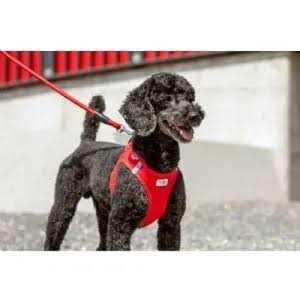 Comfort Leash A25057