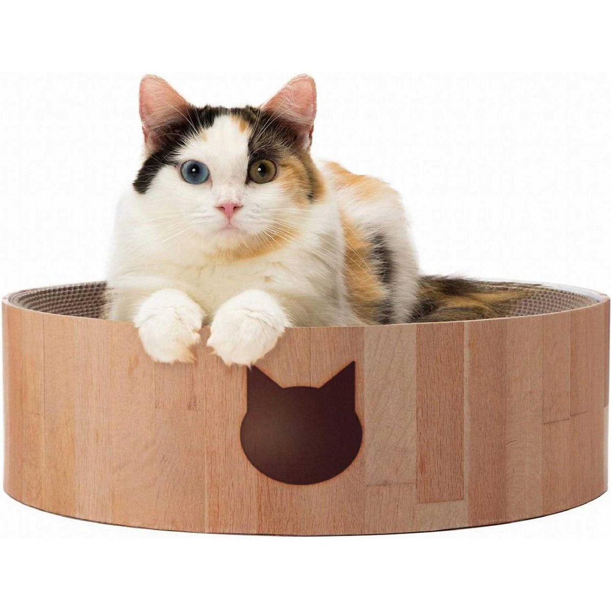 Cat Scratcher Bowl I916