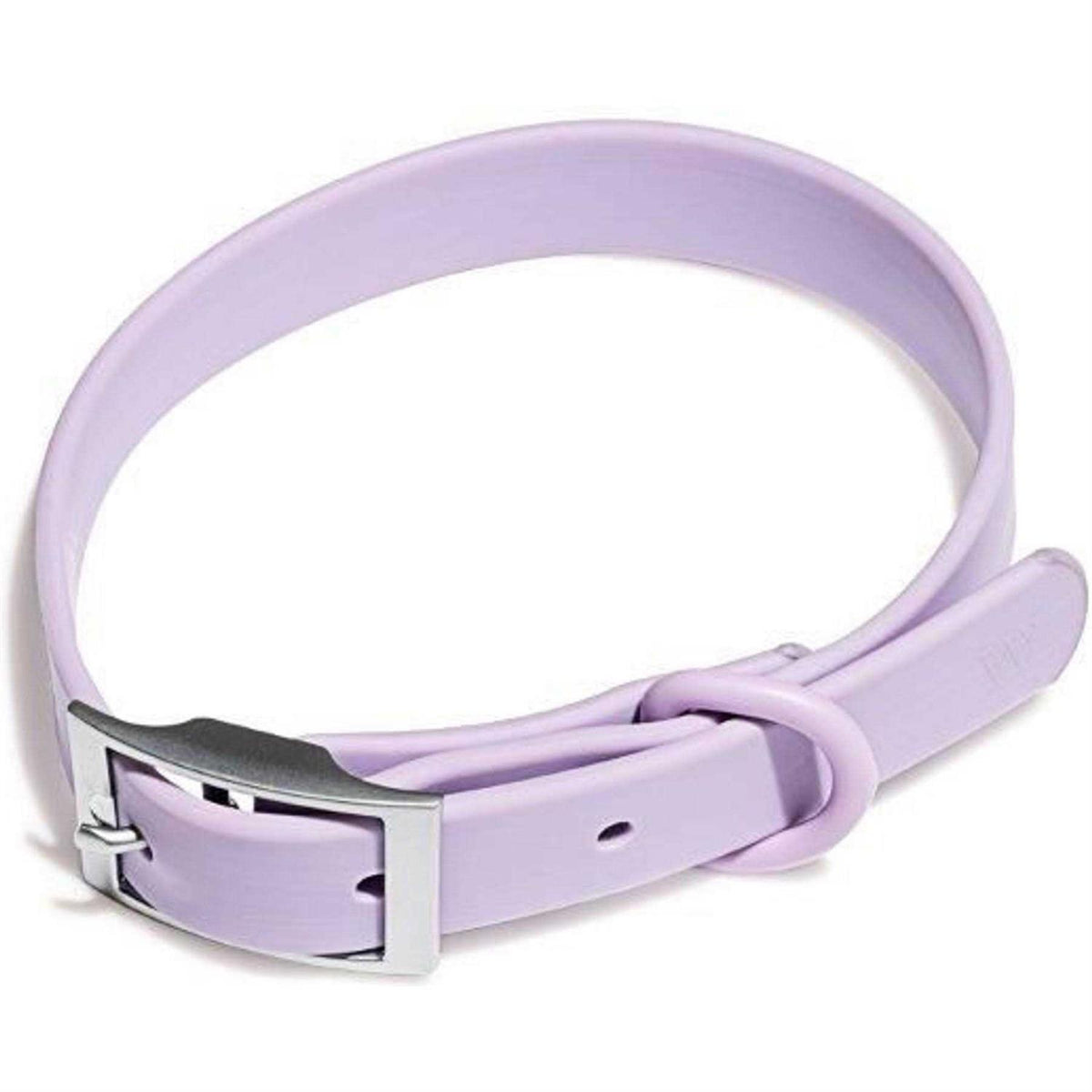 Dog Collar Z153056