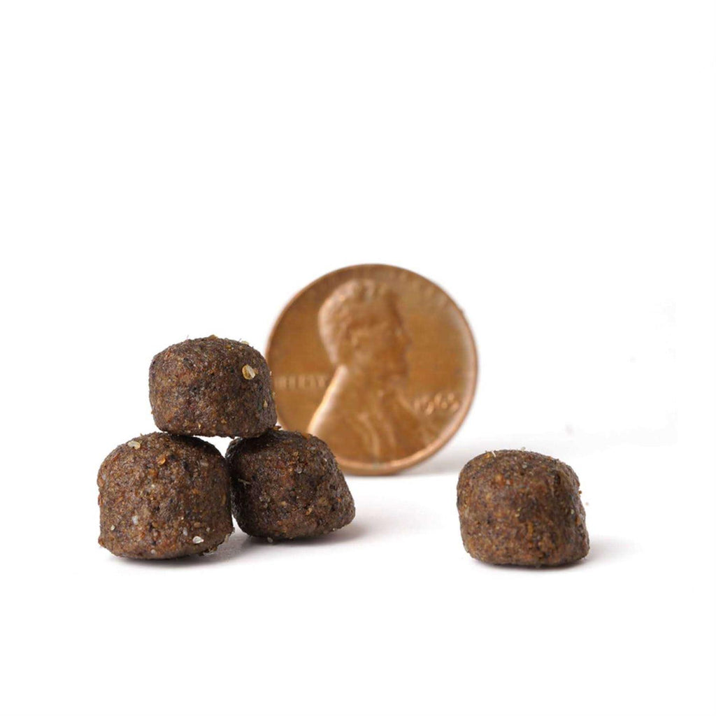 Dog Food S807945
