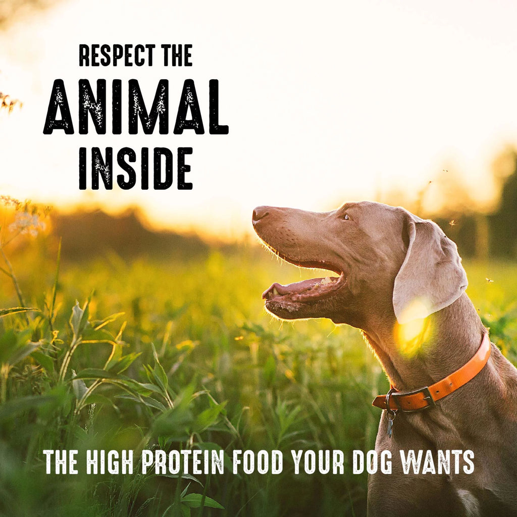 Grain Free Adult Dry Dog Food with Lamb, 12 lb. Bag O91420