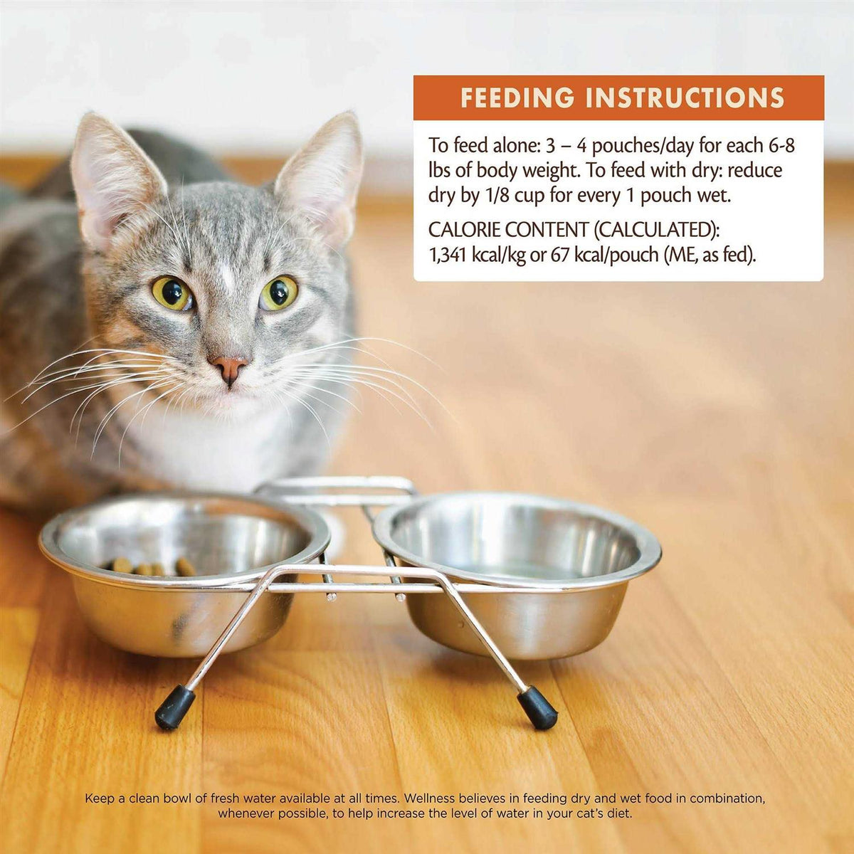 Wet Cat Food H72489