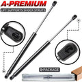 Rear Window Lift Supports Shock Struts 2-PC Set A994049