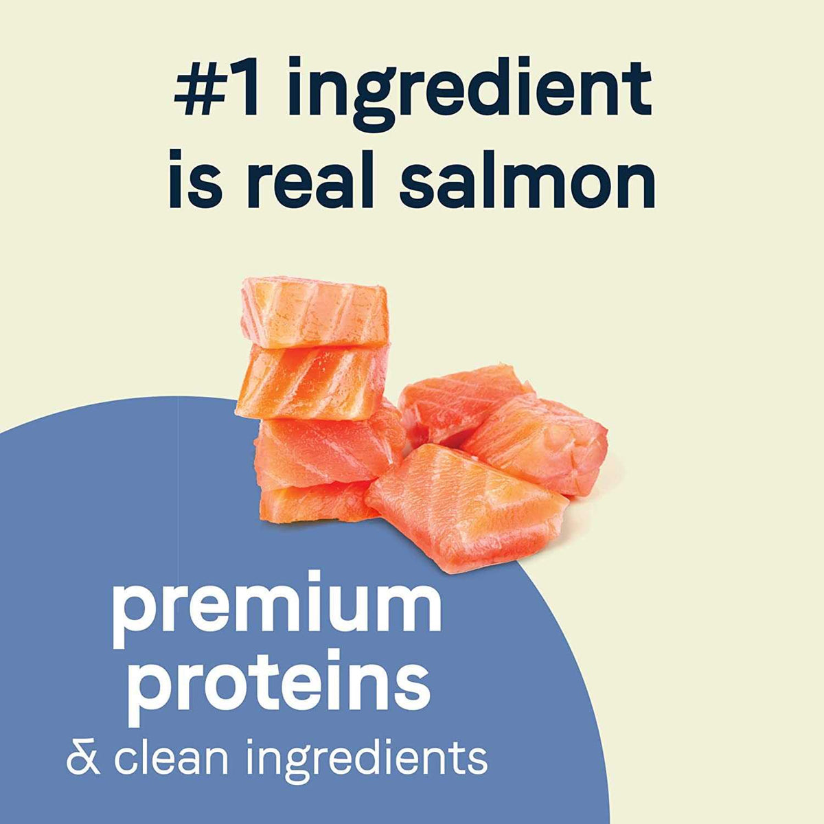 Salmon Dry Dog Food S93450