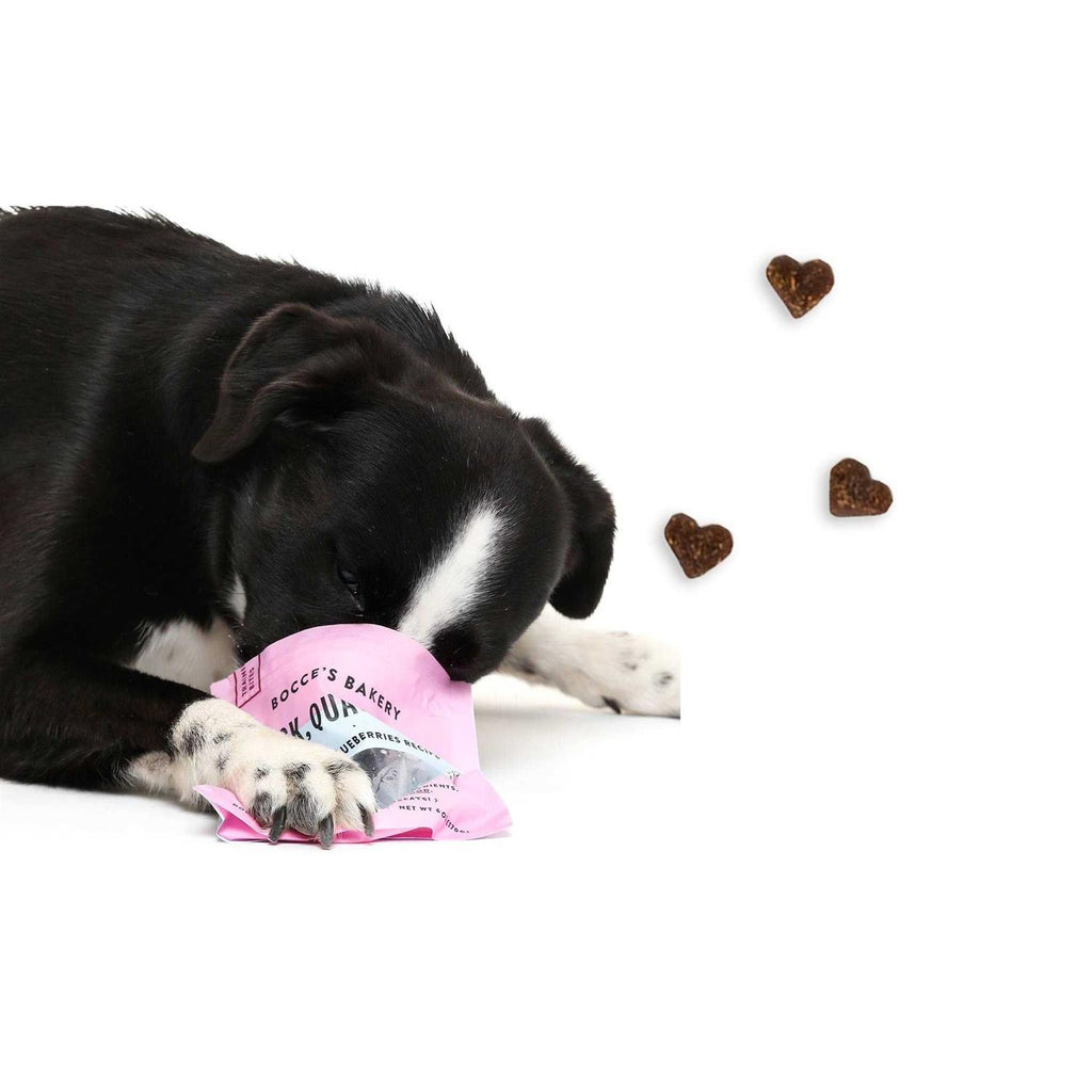 Dog Treats Z4820
