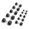 Rubber Hex Dumbbell 60 lbs Y337