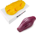 Human Body Fat & Muscle Replica 1 lb M899