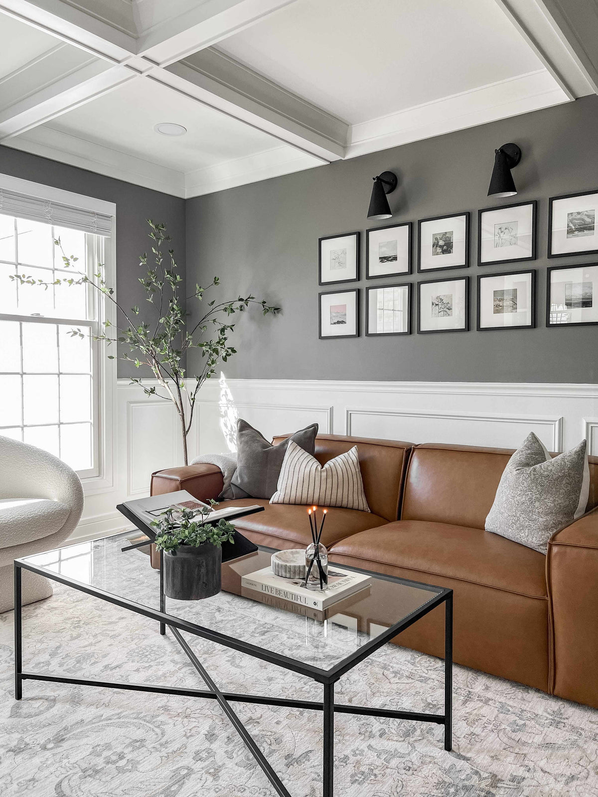 Brown Gray Area Rug O9575