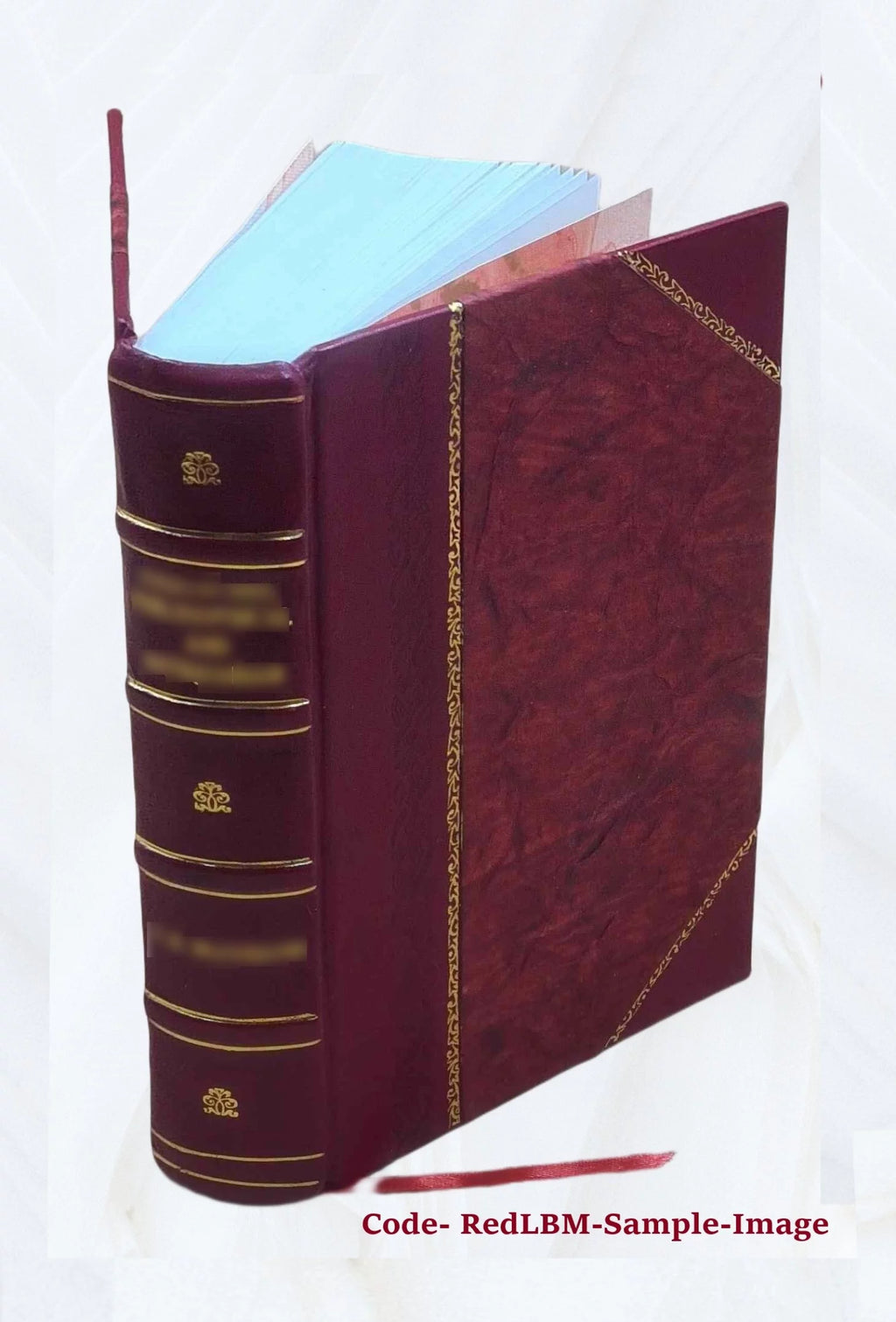Leather Bound Book G30878
