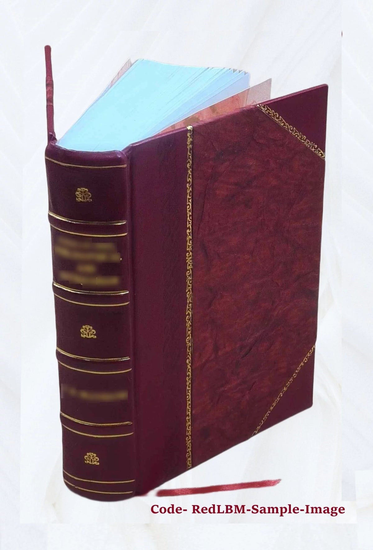 Leather Bound Book G30878