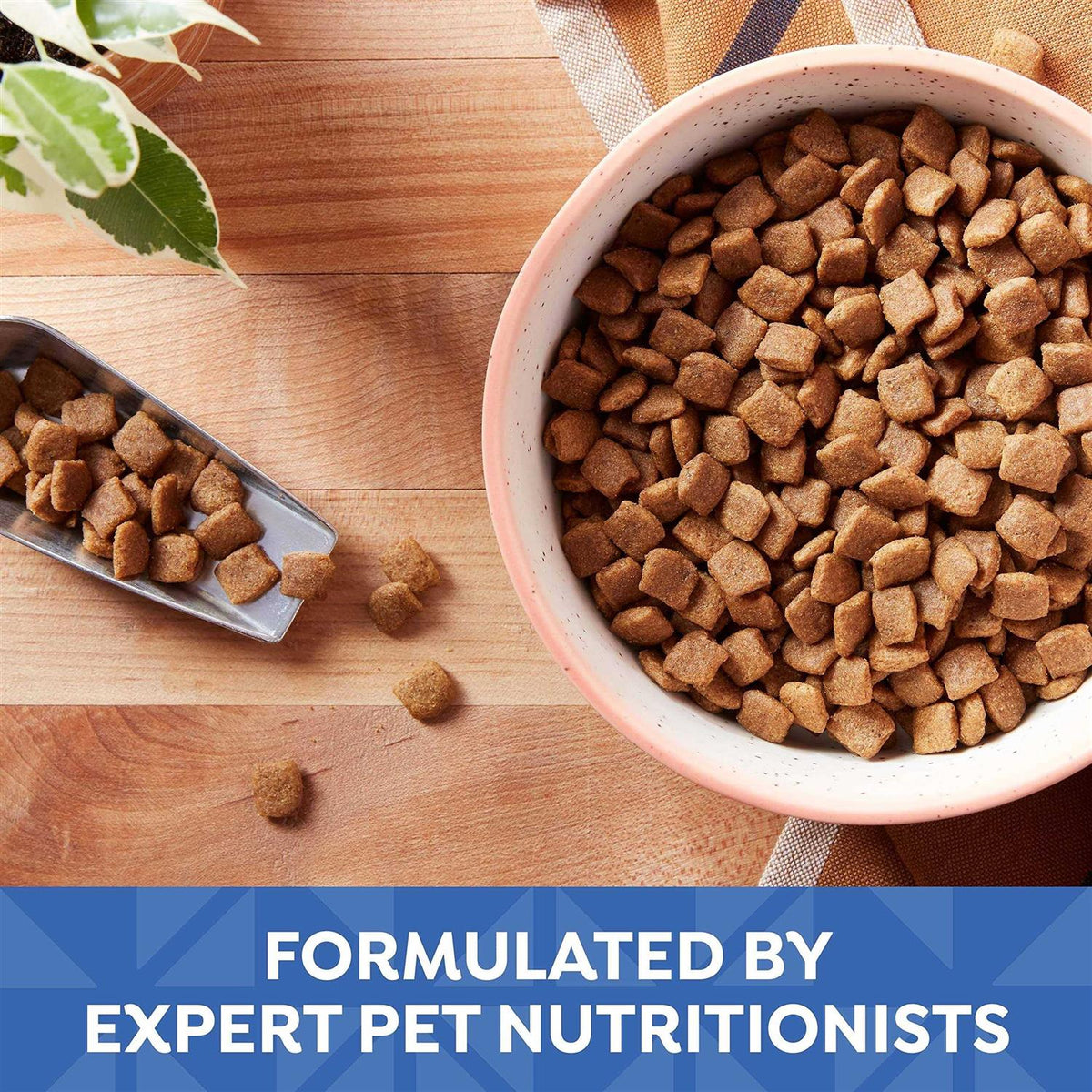 Small Bites Dry Dog Food I162