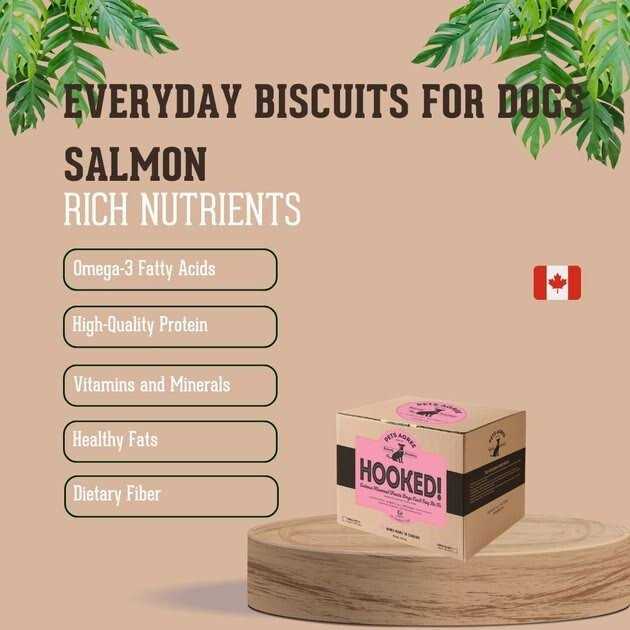 Salmon Flavored Dog Treats X211312