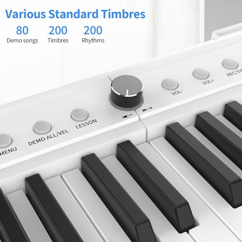 88 Key Semi Weighted Keys Digital Piano with Sustain Pedal, Power Supply, Stand, Carrying Case, Headphones G458762