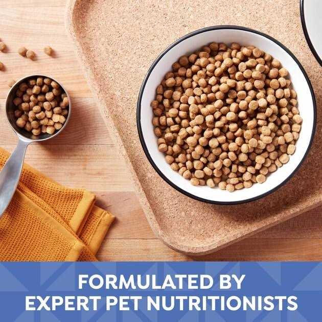 Small Bites Dry Dog Food I162