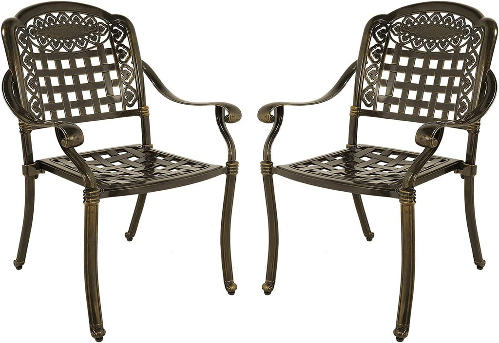 2-Piece Patio Cast Aluminum Dining Chairs B803