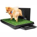 Large Dog Potty with Tray M89889