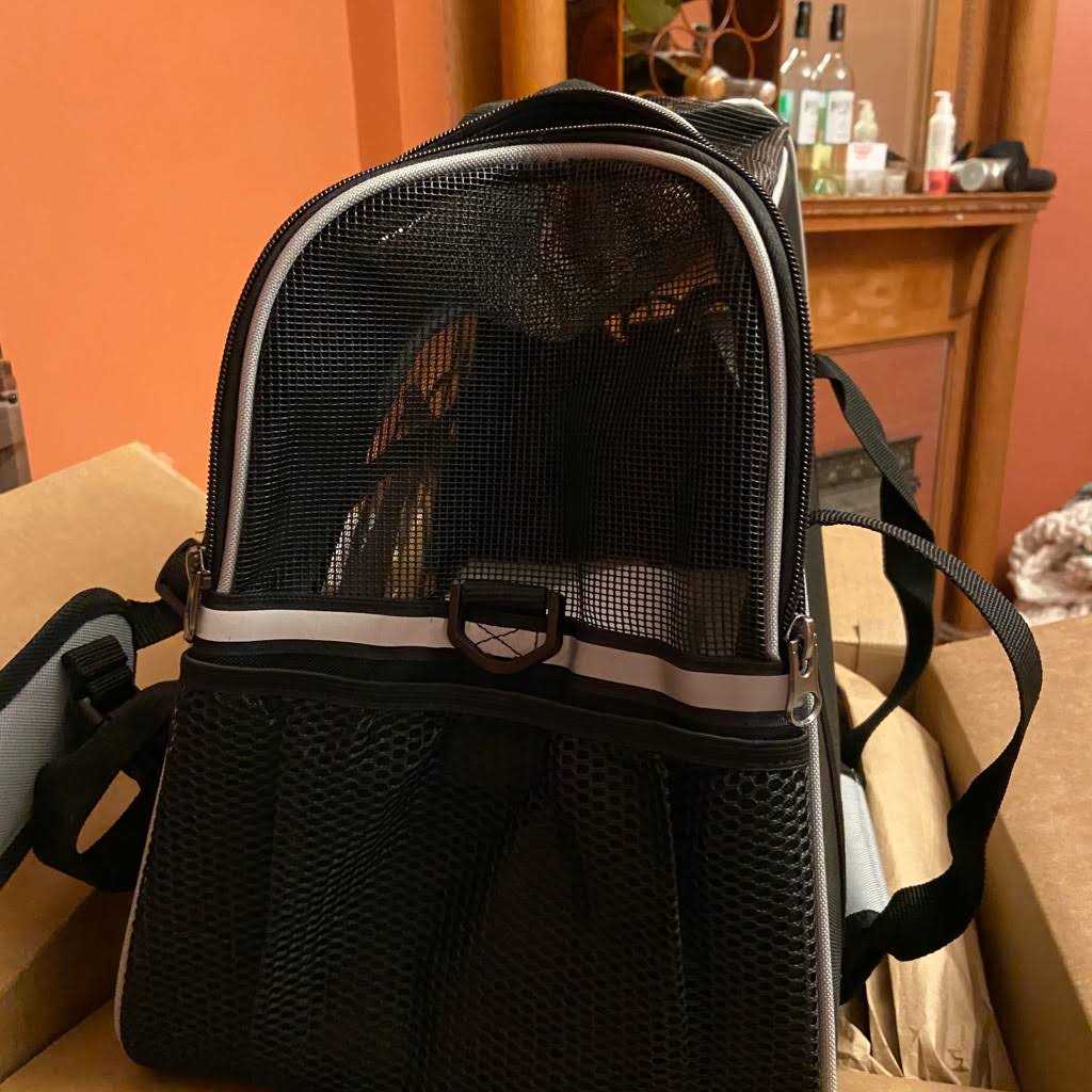 Dog & Cat Carrier Bag M30884