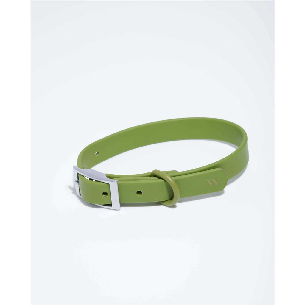 Dog Collar Z153056