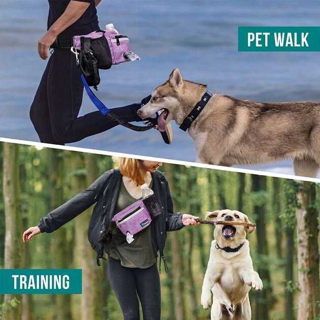 Dog Treat Pouch with Poop Bag Dispenser I787108