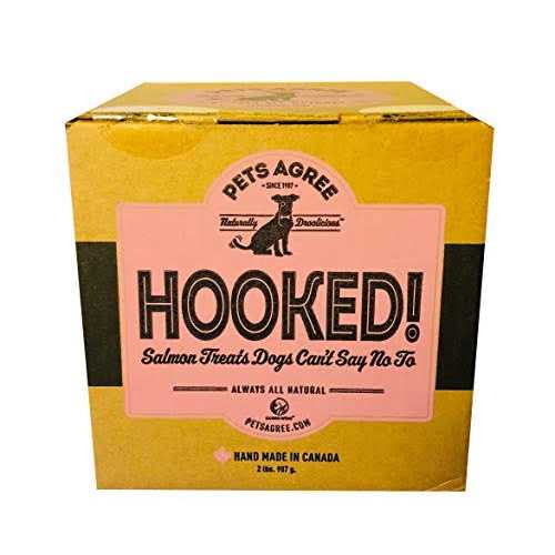 Salmon Flavored Dog Treats X211312