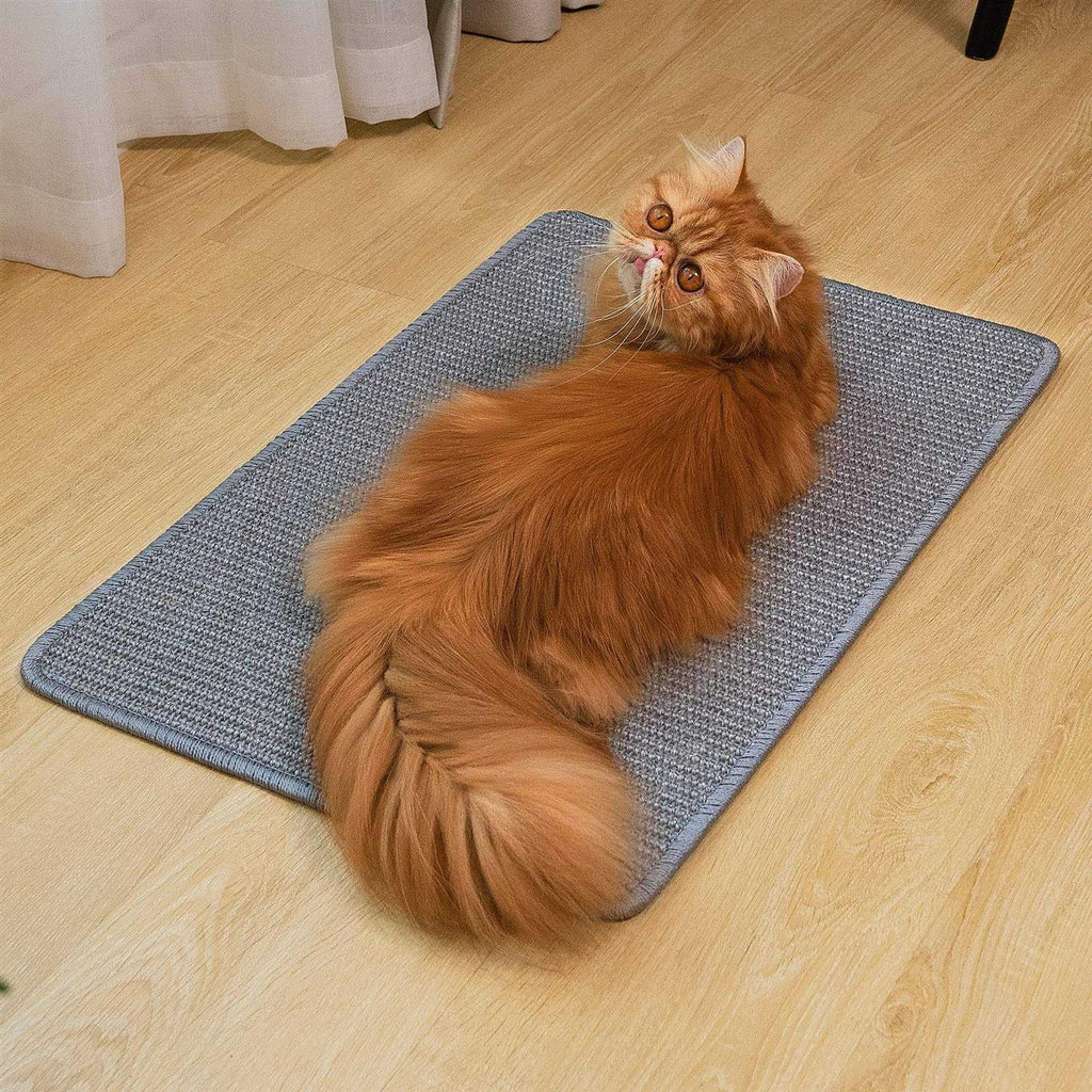 Natural Sisal Cat Scratcher Mat X2885